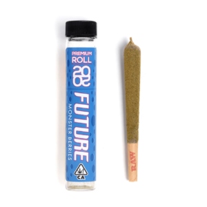2020 Future Kief Premium Infused Pre-Roll - Monster Berry